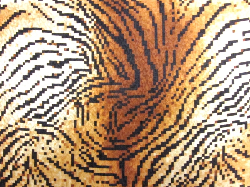 Printed Silk Jacquard0