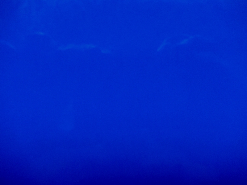 Upholstery Wetlook Vinyl in Blue0