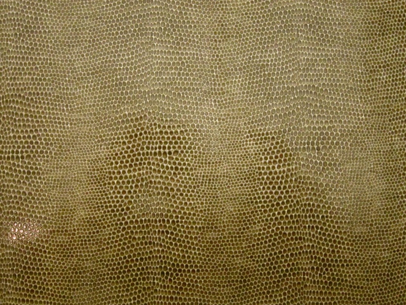 Snake Upholstery Vinyl in Driftwood0