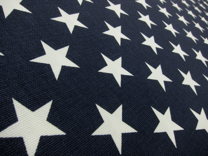 Cotton Canvas StarsPrint2