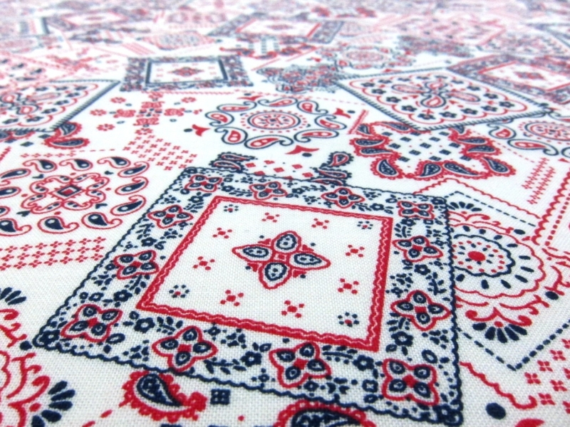 Cotton Broadcloth Print2