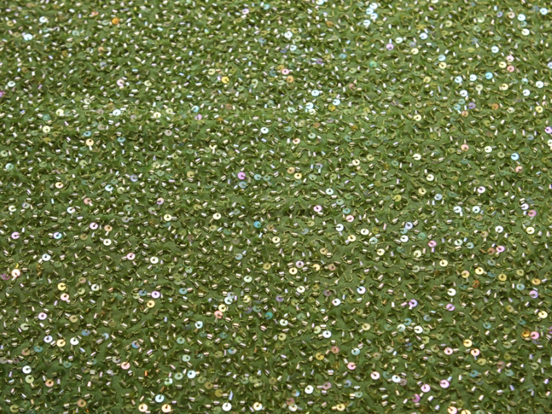 Sequins on Silk Chiffon0