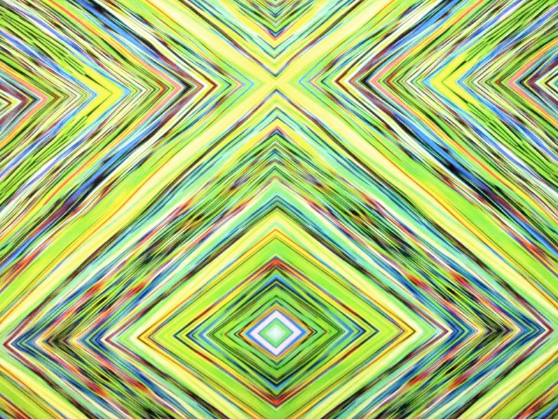 Printed Silk Chiffon0