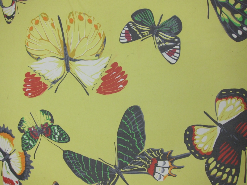 Printed Silk Chiffon0