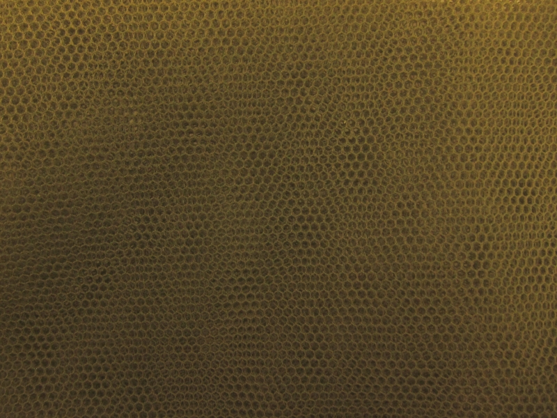 Italian Nylon Tulle in Bosco0