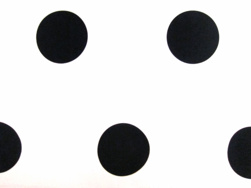 Printed Silk Charmeuse0