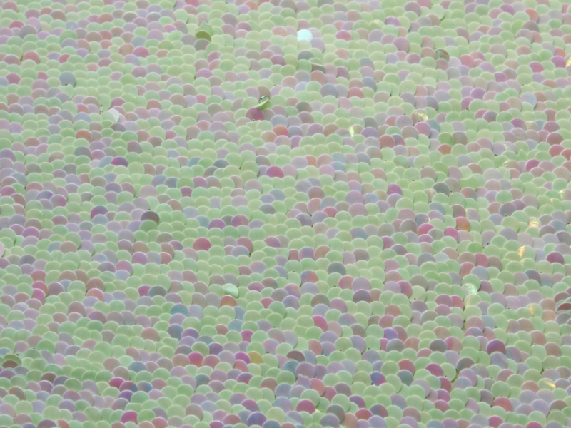 Paillettes on Silk Chiffon0