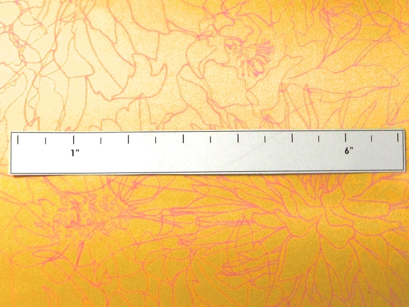 Printed Silk Charmeuse1