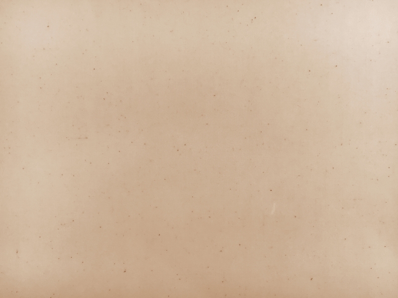 6.25oz Cotton Wax Cloth in Natural1