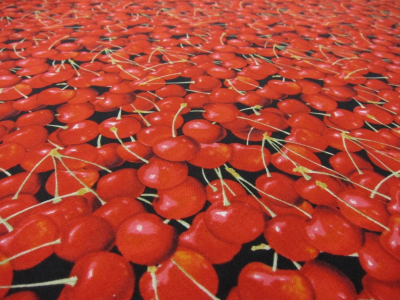 Cotton Broadcloth Print2