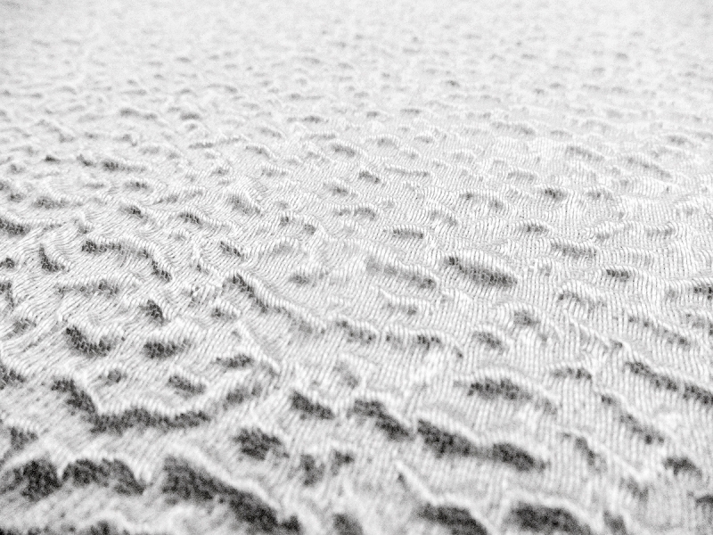 Silk Blend Organza Cloqué0