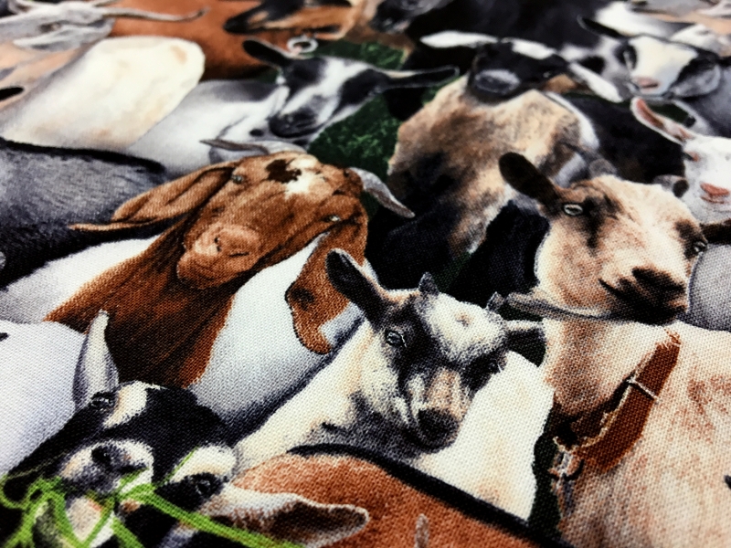 Cotton Broadcloth Print 2