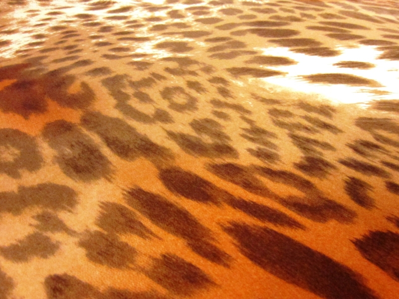 Printed Silk Charmeuse2