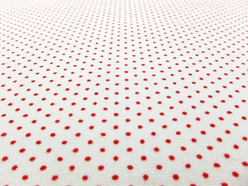 Cotton Broadcloth Print2