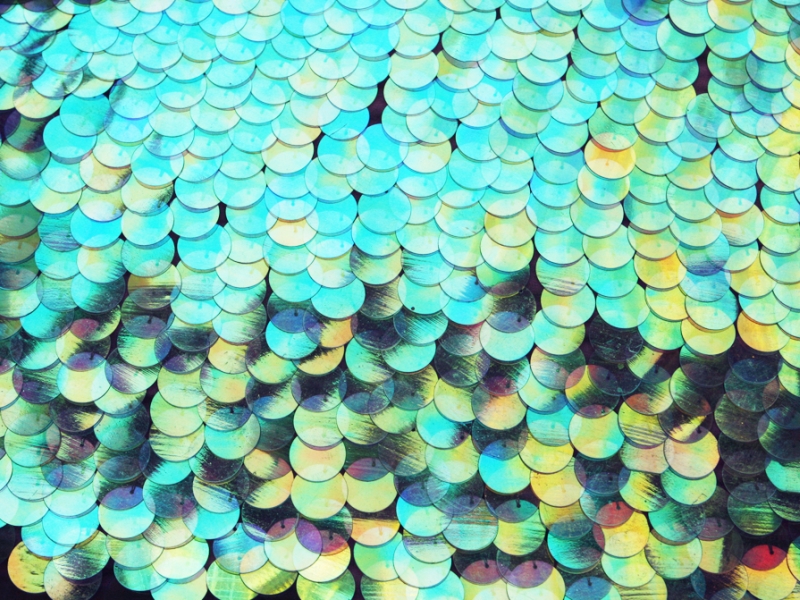 Paillettes on Silk Chiffon1