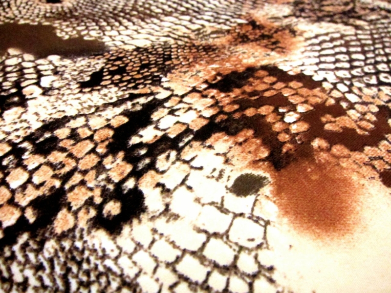 Scuba Knit With Deconstructed Reptile Print in Browns2