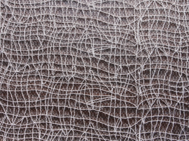 Embroidered Souffle0