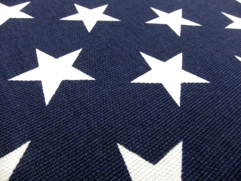 Cotton Canvas Stars Print2