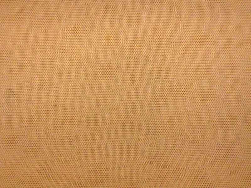 Nylon Tulle in Skin0