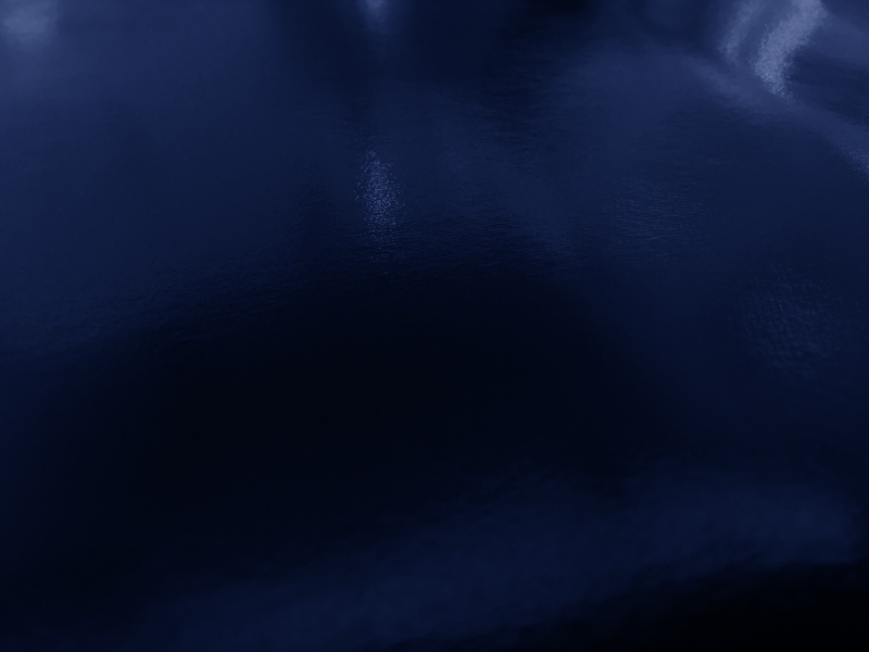 Wetlook Vinyl in Navy0