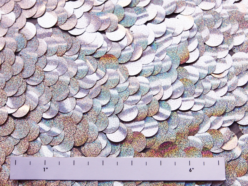 Paillettes on Silk Chiffon2