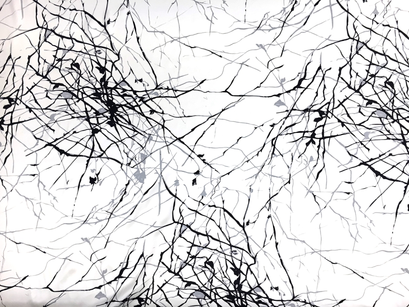 Printed Silk Charmeuse with Abstract Line Patterns0