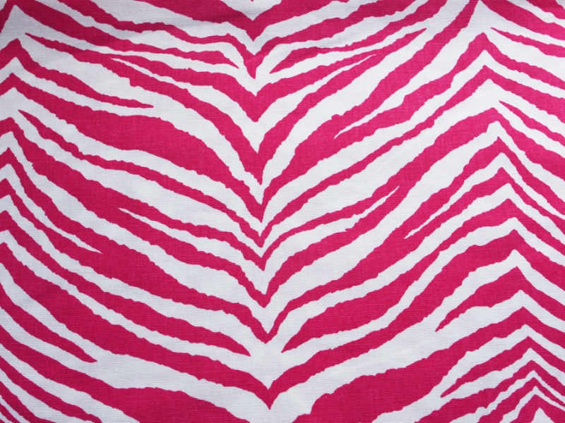 Printed Cotton Canvas0