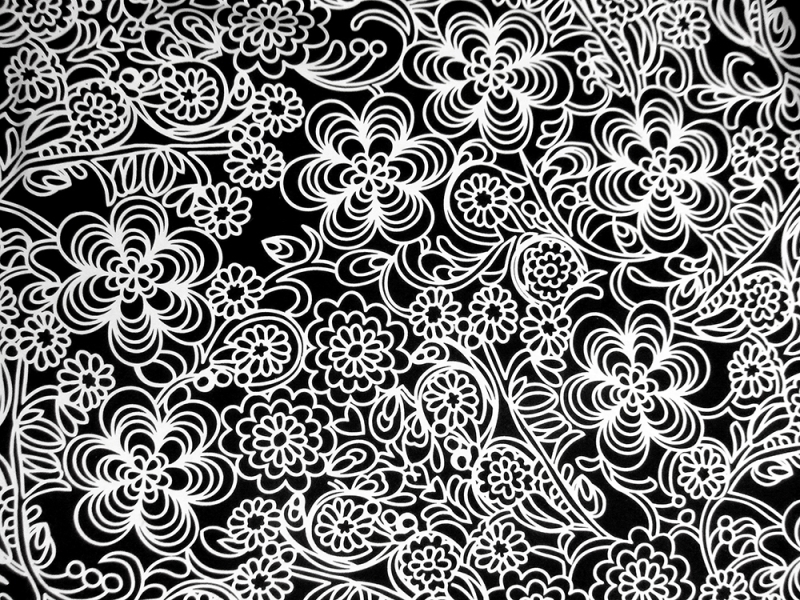 Printed Silk Charmeuse0