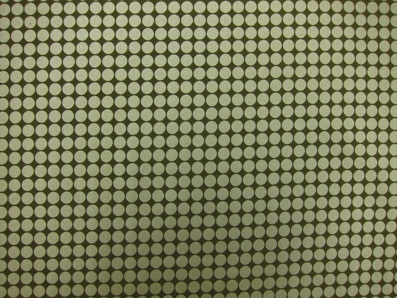 Cotton Broadcloth Print0