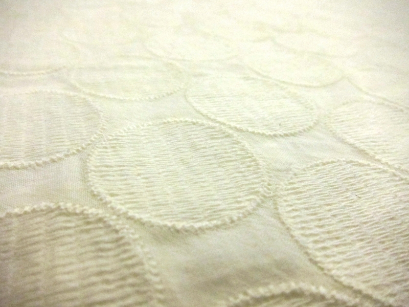 Embroidered Cotton (in Ivory)2