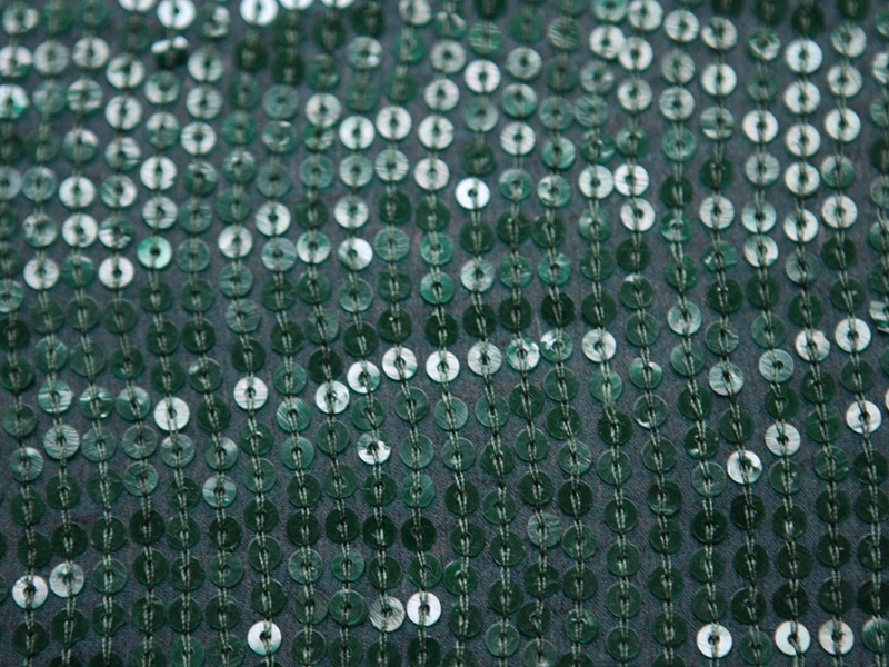 Sequins on Silk Chiffon2