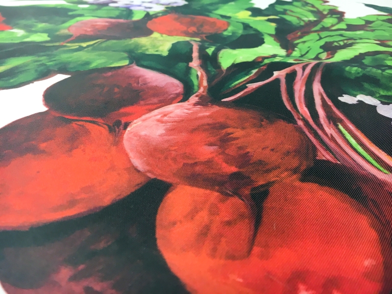 Printed Silk Mikado Panel with Beets and Florals4