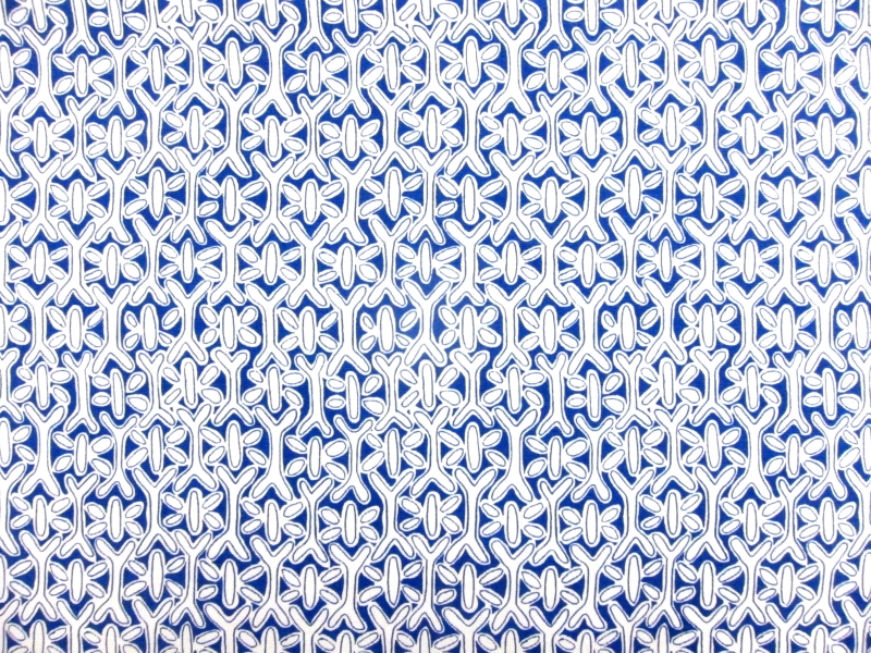 Printed Organic Cotton Canvas0