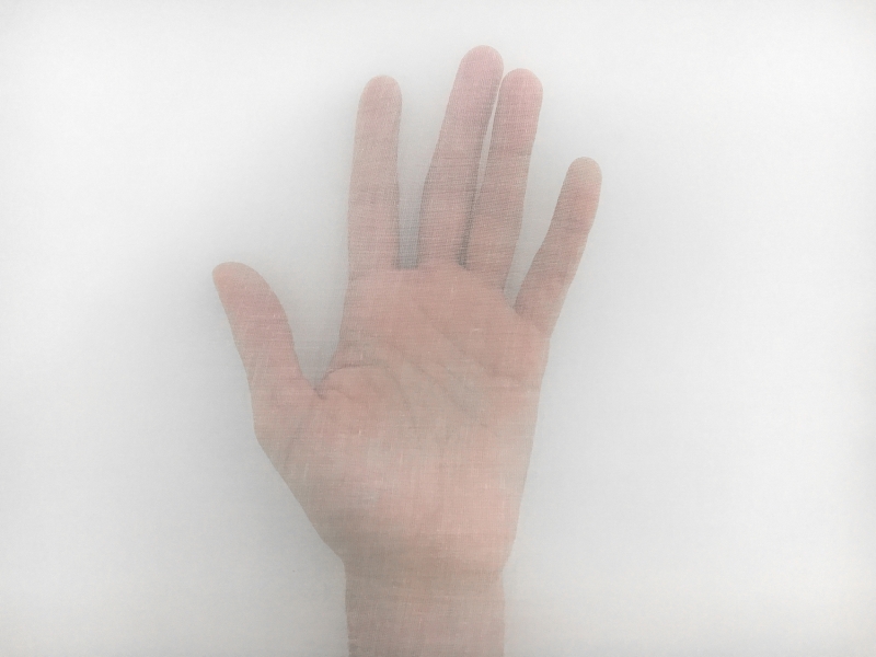 Swiss Cotton Organdy in Ivory2