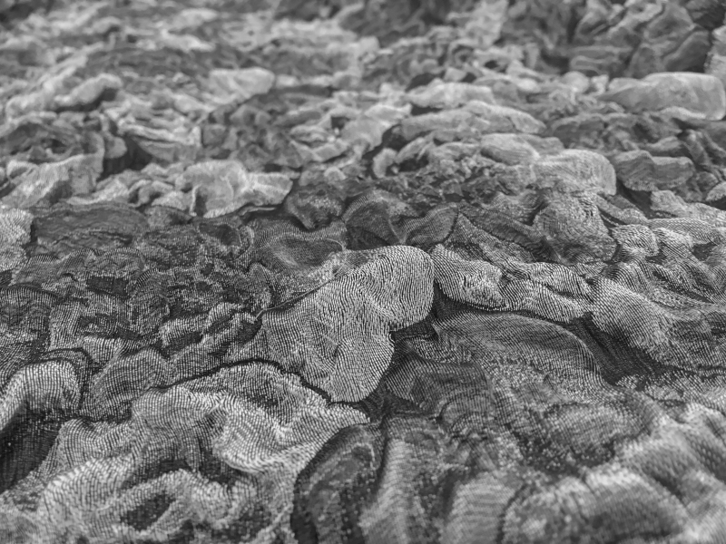 Polyester Blend Metallic Cloqué with Heavy Texture 2