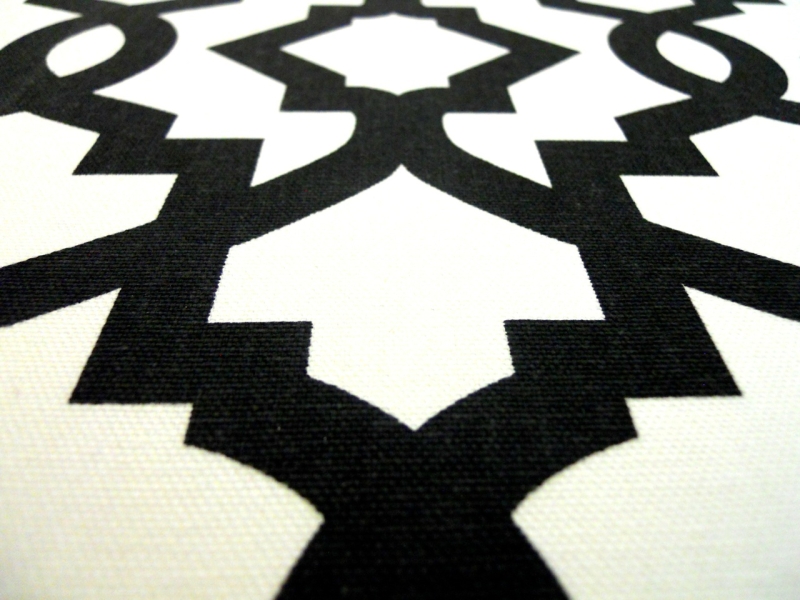 Black Imperial Trellis Cotton Canvas Print2