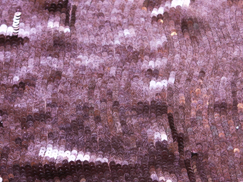 Sequins on Silk Chiffon0