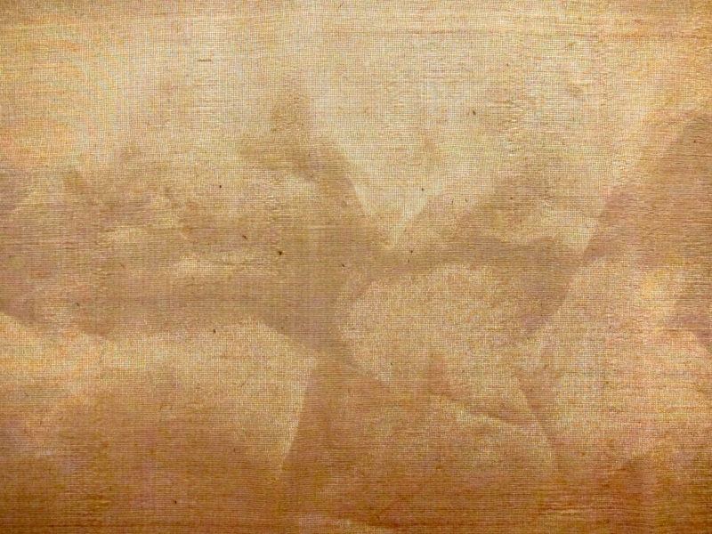 Metallic Silk Organza1