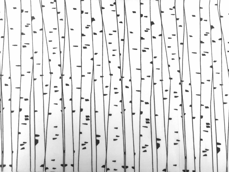 Poly Crepe de Chine Print0