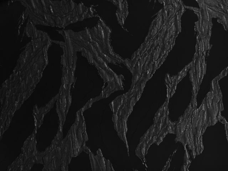 Novelty Cloqué in a Large Abstract Pattern0